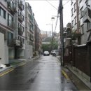 곰달래로(남측) 이미지