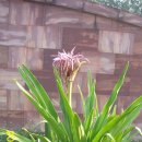 산속농장 이미지