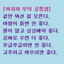 대지로 이면도로 이미지