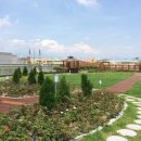 도서관옥상2 이미지