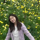 플래시 | 후지 퀵스냅 일회용 필카 첨 써보는 사람의 실내 실외 플래시 후기