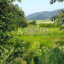 도화리농장 이미지