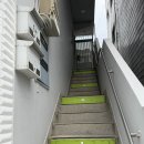 더월(The wall) | [강원도/강릉] 강릉에서 찾은 특별한 맛, 선물로도 완벽한 초당옥수수 타르트 - ‘오프더월(off the wall)'