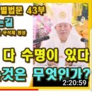 용화만물 이미지