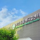 부산동물메디컬센터 이미지