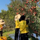 나누리요 이미지