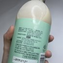 이스탄불딜라이트 이미지
