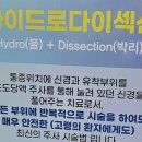 사가정역3번출구 이미지