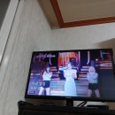 [미스트롯 포유]17회 방송분 음색미존 신미래님이 예선라운드 솔로 곡으로 엉터리 대학생 노래를 부를 때 찍은 인증샷 사진입니다 이미지