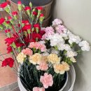 상원농원 이미지