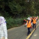 신도3리 이미지