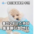 용인죽전 24시 스카이동물메디컬센터 | 용인죽전24시스카이동물메디컬센터_피지종제거 수술후기