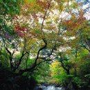 김*인 - 미추홀구 수봉로 78 | 김*인