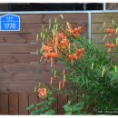 국사봉농장 이미지