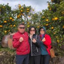 ㈜온라인투어버스 | 제주도 미니버스 투어 ! 쏠라티 단체여행 여행사 추천 후기