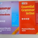 Grammar in Use 팔아요. 이미지