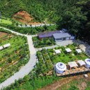 블루미르 이미지