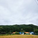 청운면사무소 이미지