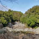 염광의원 이미지