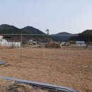 이완기농장 이미지