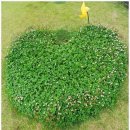 제주너른스테이 이미지