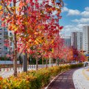 수원-1397 이미지