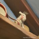 햇빛트레이드 주식회사 | 일본 도쿄; 디즈니씨보다 좋았던 디즈니랜드