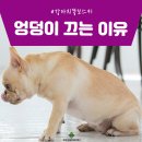가평동물병원 이미지