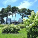 도솔광장 야외공연장 이미지