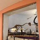 보석앤화석박물관(휴관) | '목포 자연사박물관' - 체험요소, 교육요소 많은 자세한 후기