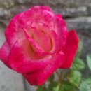 실로암복지용구 이미지