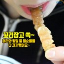 ♥초특가!! 전복~무려 50마리가 19,000원♥껍질째먹는 청송주왕산 얼음골 사과♥자연산100%남해 마약딱새우장♥춘천 숯불 닭갈비/야들야들 육즙폭발~ 이미지