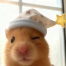 올웨이즈스윗