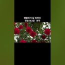 나만143 이미지