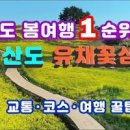 [전라남도 여행지/청산도 슬로길 여행코스/청산도 가는길/ 청산도 유채꽃] 이미지