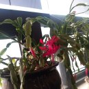 보성휘트니스 이미지