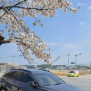 현대자동차(주)청주서비스센터 | 현대자동차 직영 AS센터 성수 동부하이테크센터 블루기본점검 그리고 AS 후기