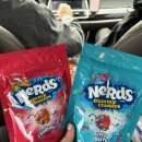 자동목장 | [내돈내산] 파주 탄현면 단골 식당 🍲\전국목장연합' 솔직 후기