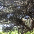 새울신협 이미지