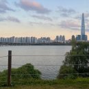 쌀개개발