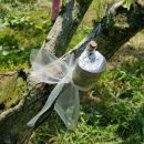 현화농장 이미지