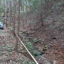 숲속애 휴가 이미지