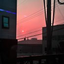 효인성진로교육문화원 | 가을#1 ㅣ 명절연휴 주말 대전 성심당 당일치기: 케익부띠끄, 진로집, 성심당 본점, 장인 더 약과 / 일상