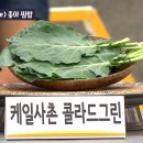 그린쌈밥 이미지