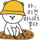 풍년닭집 이미지