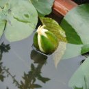 다은이 농장 이미지