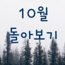 복기애견 이미지