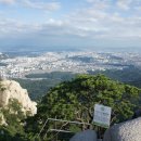 에덴동산 - 남구 | 에덴동산