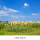 그라스 - 창원시 성산구 동산로65번길 15 | 그라스