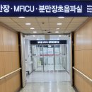 임신 20주 정밀초음파 시기 비용, 서울대학교병원 정밀초음파 검사 후기